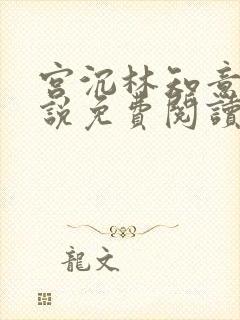 宫沉林知意的小说免费阅读全文