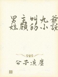 男主叫九爷女主姓顾的小说