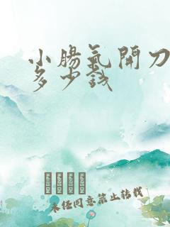 小肠气开刀需要多少钱