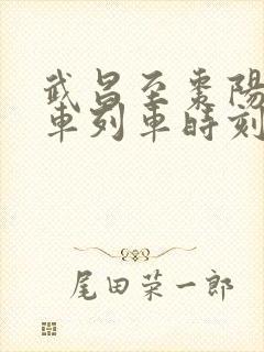 武昌至枣阳的火车列车时刻表