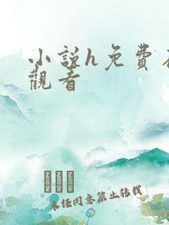 小说h免费在线观看