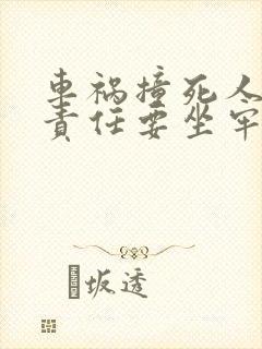 车祸撞死人主要责任要坐牢吗