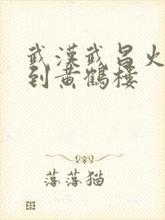 武汉武昌火车站到黄鹤楼