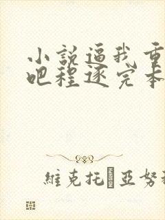 小说逼我重生是吧程逐完本免费阅读