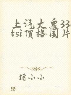上汽大众330tsi价格图片