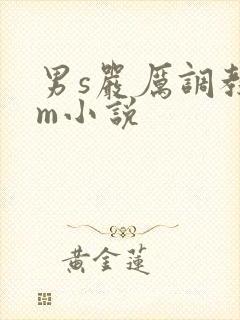 男s严厉调教女m小说 男s严厉调教女m小说