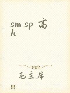 sm sp 高h