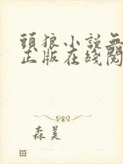 头狼小说无删减正版在线阅读