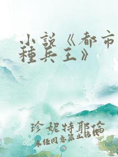 小说《都市之特种兵王》
