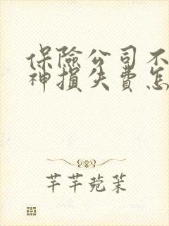 保险公司不赔精神损失费怎么办