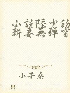小说陆少的暖婚新妻无弹窗
