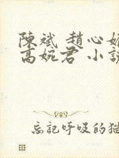 陈斌 赵心媚 高婉君 小说