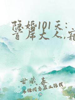 隐婚101天:首席大人,宠妻忙