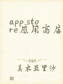 app store应用商店