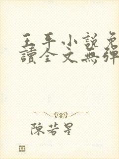 王平小说免费阅读全文无弹窗
