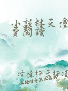 小说林天傻子免费阅读