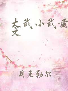 大武小武黄蓉原文 大武小武黄蓉原文