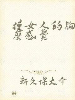 摸女人的胸是什么感觉