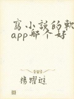 写小说的软件 app哪个好