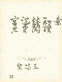 宫沉林知意全文免费阅读