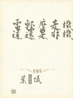 电轻摩走机动车道还是非机动车道