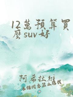 12万预算买什么suv好