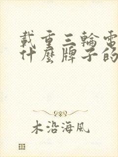 载重三轮电动车什么牌子的质量好