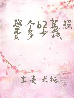 学个b2驾照学费多少钱