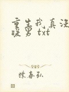 重生我真没想当暖男 txt