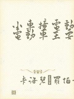 小车撞电动车,电动车主要责任,怎么赔付