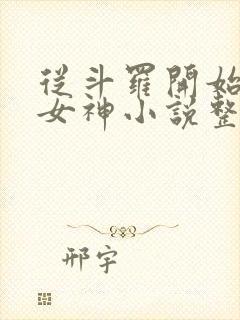 从斗罗开始俘获女神小说整版全文下载