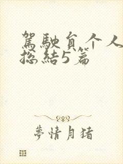 驾驶员个人工作总结5篇