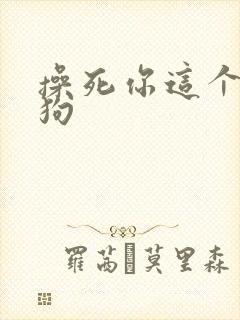 操死你这个骚母狗