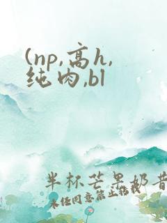 (np,高h,纯肉,bl