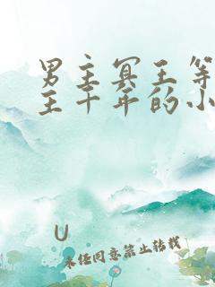 男主冥王等了女主千年的小说