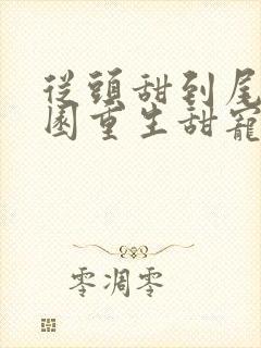 从头甜到尾的校园重生甜宠文