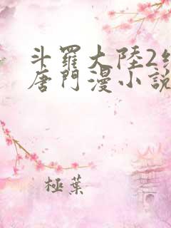 斗罗大陆2绝世唐门漫小说