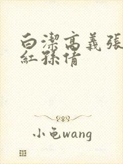 白洁高义张敏美红孙倩