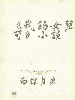 《我的女儿叫小可》小说