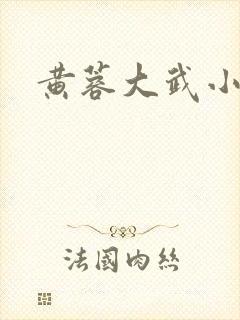 黄蓉大武小武