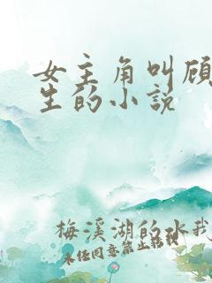 女主角叫顾晚重生的小说