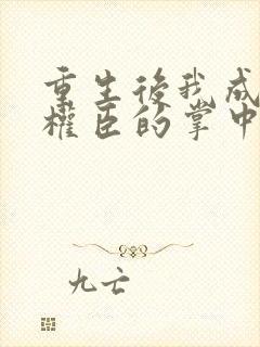 重生后我成为了权臣的掌中娇