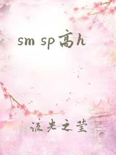 sm sp高h