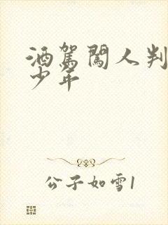 酒驾闯人判刑多少年