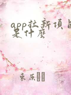 app拉新项目是什么