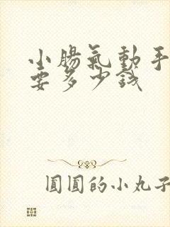 小肠气动手术需要多少钱