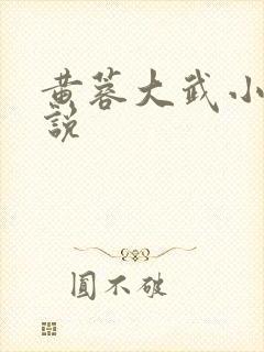 黄蓉大武小武小说