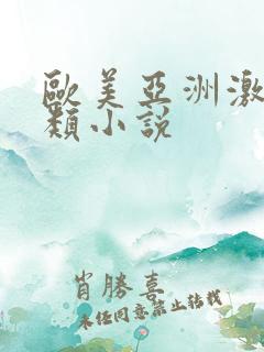 欧美亚洲激情另类小说