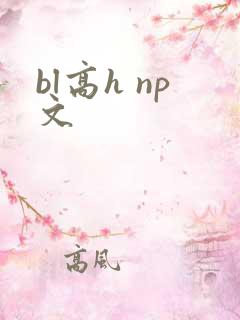 bl高h np文