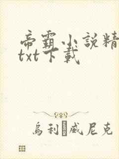 帝霸小说精校版txt下载